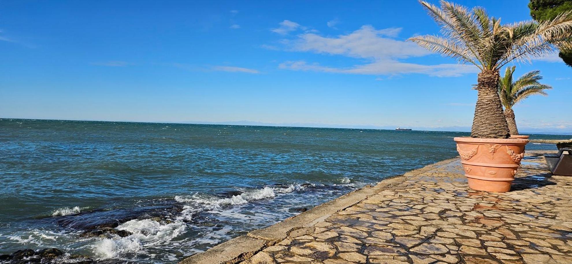 Sea View Apartment Renzzo Strunjan Eksteriør bilde