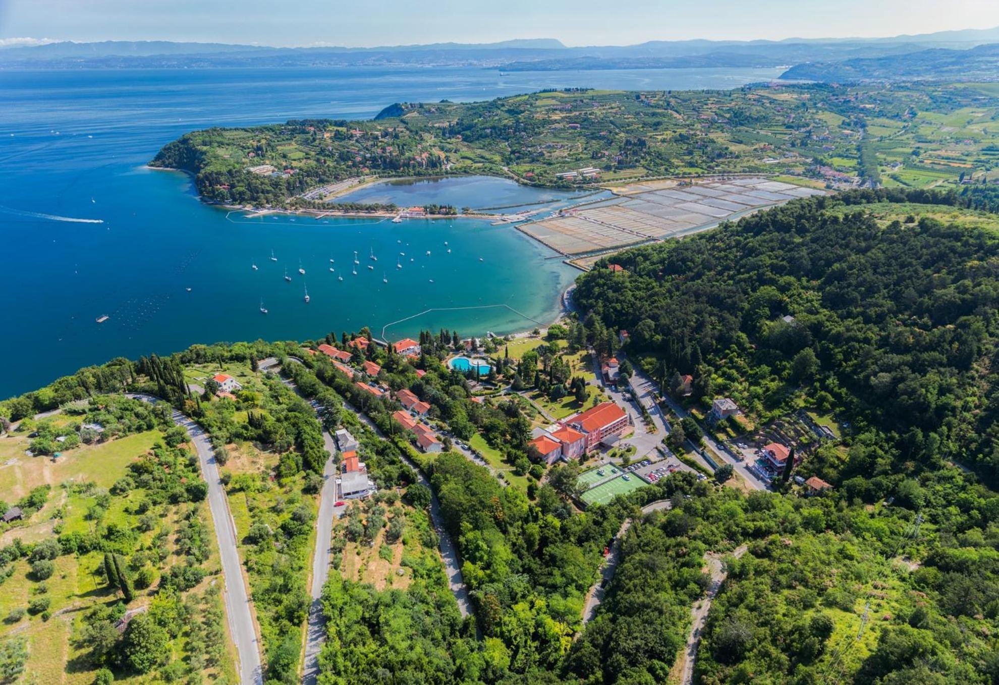 Sea View Apartment Renzzo Strunjan Eksteriør bilde