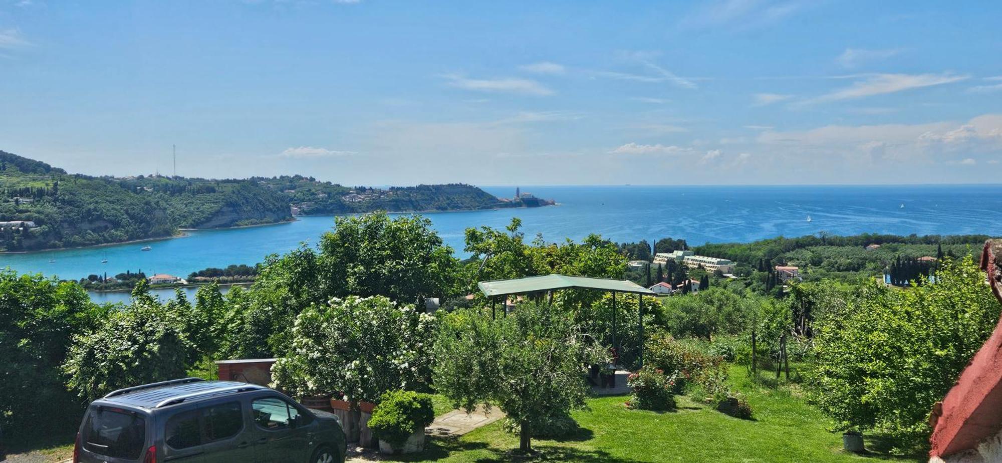 Sea View Apartment Renzzo Strunjan Eksteriør bilde