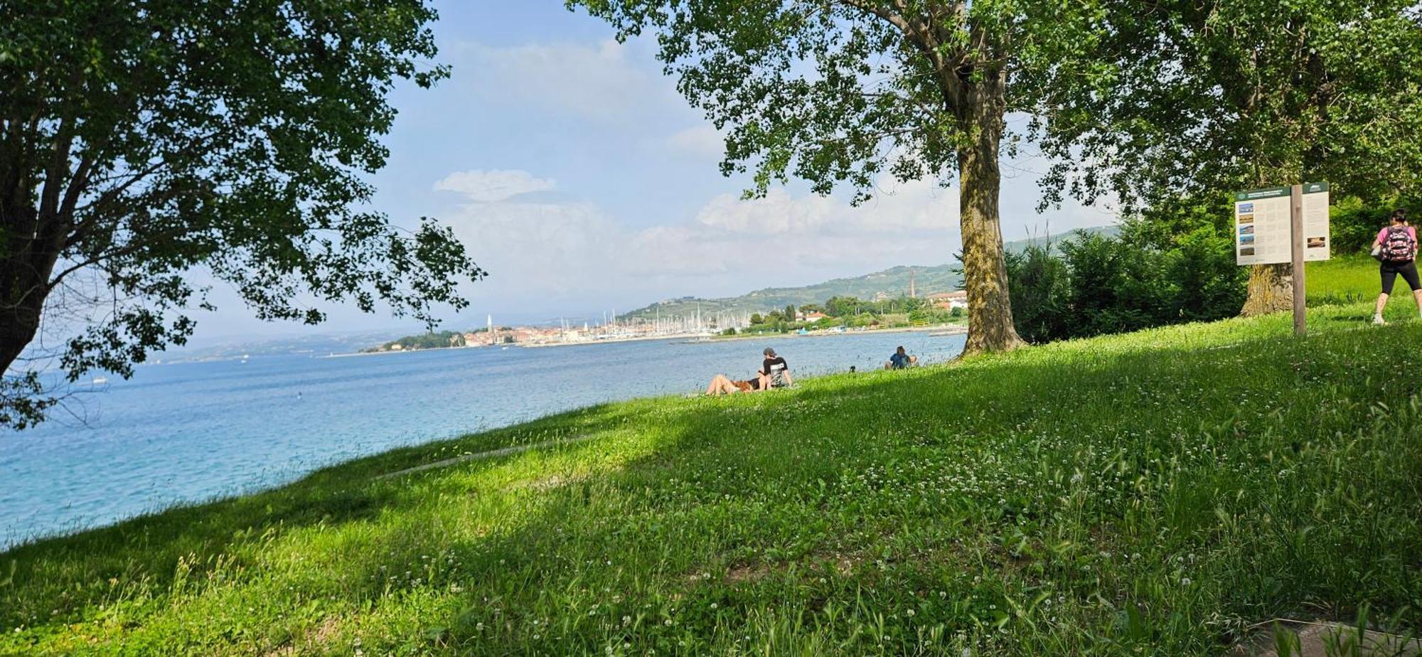 Sea View Apartment Renzzo Strunjan Eksteriør bilde