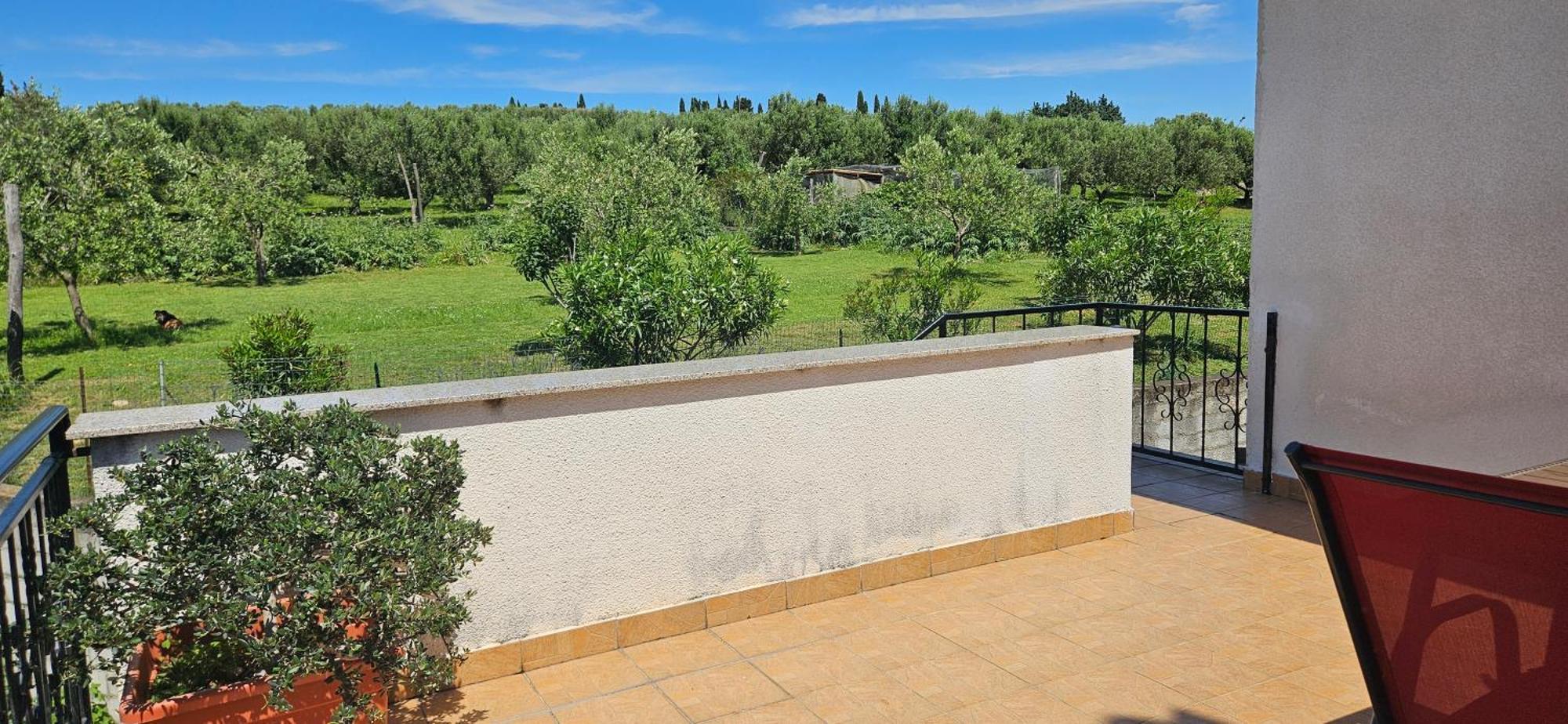 Sea View Apartment Renzzo Strunjan Eksteriør bilde
